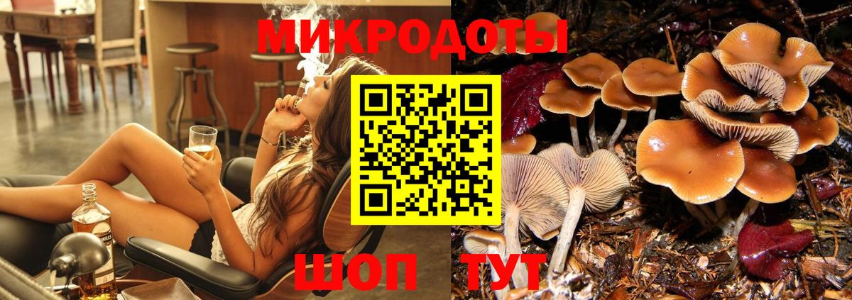 Псилоцибиновые грибы Psilocybine cubensis Мытищи