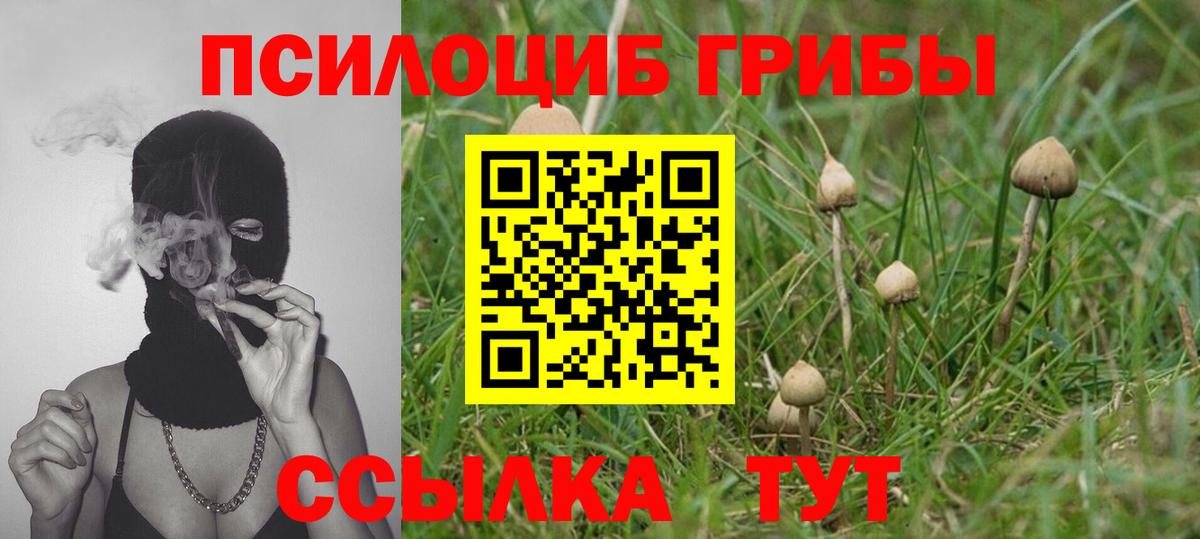 Бошки Шишки Мытищи