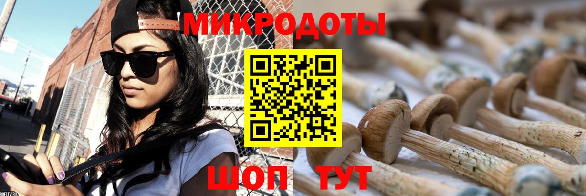 Мытищи  Псилоцибиновые грибы ЛСД  Вход с VPN 